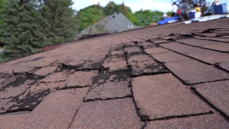 Fast & Reliable Emergency Roof Repairs in Woodlawn, OH